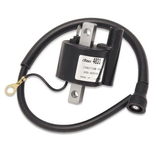 Rick's Electric Ignition Coil