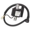 Rick's Electric Ignition Coil