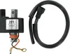 Rick's Electric Ignition Coil