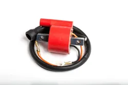 Rick's Electric Ignition Coil