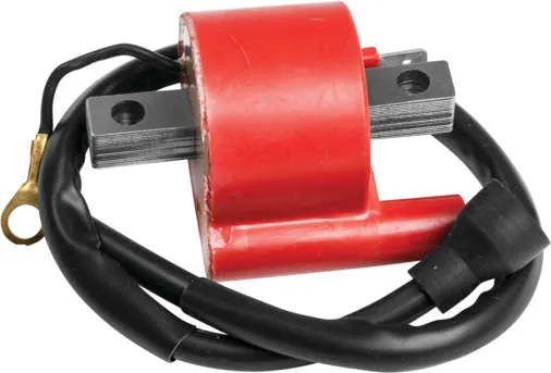 Rick's Electric Ignition Coil