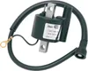 Rick's Electric Ignition Coil
