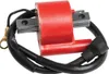 Rick's Electric Ignition Coil