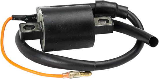 Rick's Electric Ignition Coil