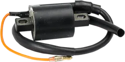 Rick's Electric Ignition Coil