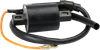 Rick's Electric Ignition Coil