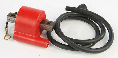 Rick's Electric Ignition Coil