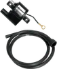 Rick's Electric Ignition Coil