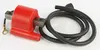 Rick's Electric Ignition Coil