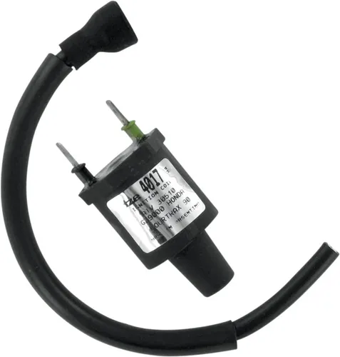 Rick's Electric Ignition Coil