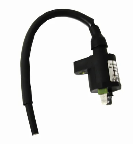 Rick's Electric Ignition Coil