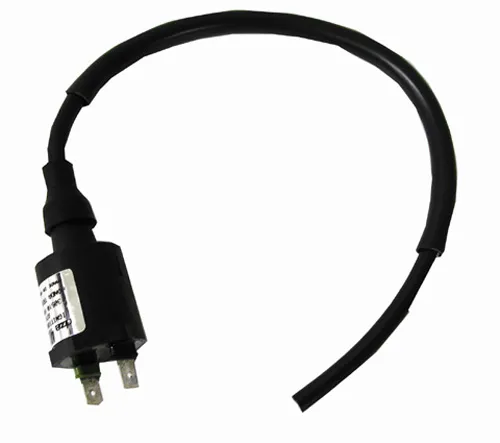 Rick's Electric Ignition Coil