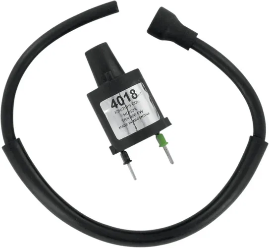 Rick's Electric Ignition Coil