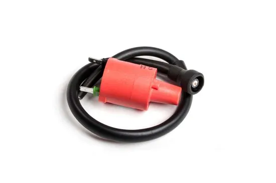 Rick's Electric Ignition Coil