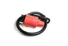 Rick's Electric Ignition Coil
