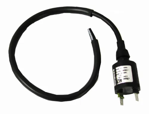 Rick's Electric Ignition Coil