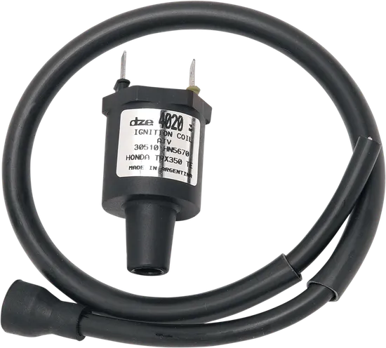 Rick's Electric Ignition Coil