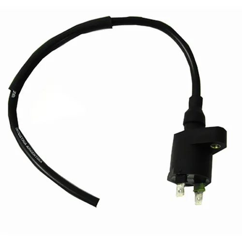 Rick's Electric Ignition Coil