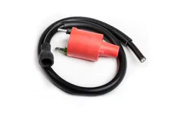 Rick's Electric Ignition Coil