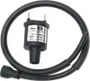 Rick's Electric Ignition Coil