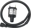 Rick's Electric Ignition Coil