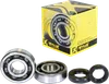 ProX Crankshaft Bearing Kit