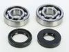 ProX Crankshaft Bearing Kit