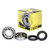 ProX Crankshaft Bearing Kit