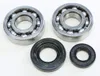 ProX Crankshaft Bearing Kit