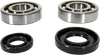 ProX Crankshaft Bearing Kit