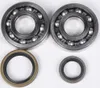 ProX Crankshaft Bearing Kit