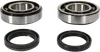 ProX Crankshaft Bearing and Seal Kit for RMZ250