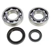 ProX Crankshaft Crank Bearing Kit