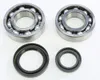 ProX Crankshaft Crank Bearing Kit