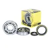 ProX Crankshaft Bearing Kit