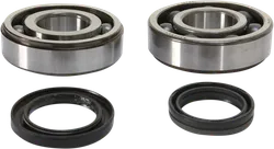 ProX Crankshaft Bearing and Seal Kit for RMZ450