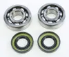 ProX Crankshaft Bearing Kit