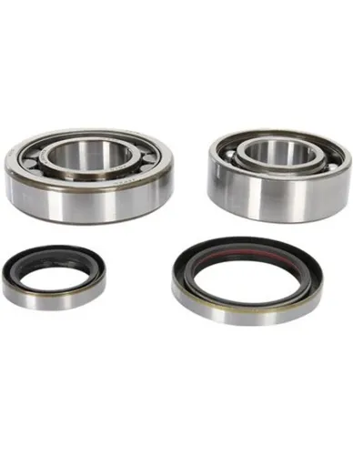 ProX Crankshaft Bearing and Seal Kit for KX250
