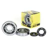 ProX Crankshaft Bearing and Seal Kit for KX250