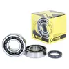 ProX Crankshaft Bearing Kit