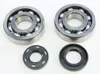 ProX Crankshaft Bearing Kit