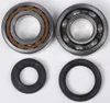 ProX Crankshaft Bearing Kit