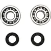 ProX Crankshaft Bearing Kit