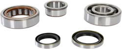 ProX Crankshaft Bearing Kit