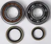 ProX Crankshaft Bearing Kit