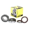 ProX Crankshaft Bearing and Seal Kit