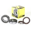 ProX Crankshaft Bearing and Seal Kit