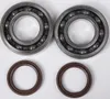 ProX Crankshaft Crank Bearing Kit