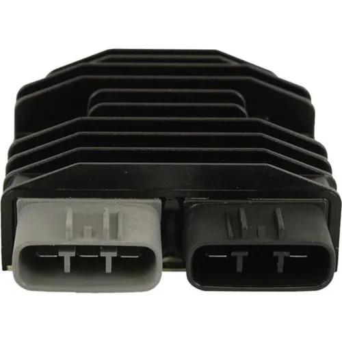 Wild Boar Voltage Regulator Rectifier