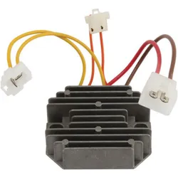 Wild Boar Voltage Regulator Rectifier